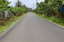 Roseau Road Construction